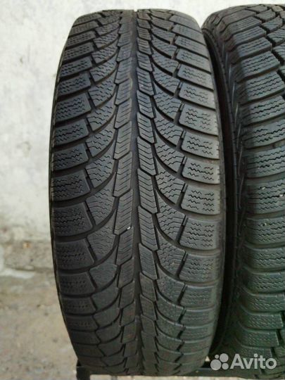 General Tire Altimax Nordic 12 195/65 R15 95T