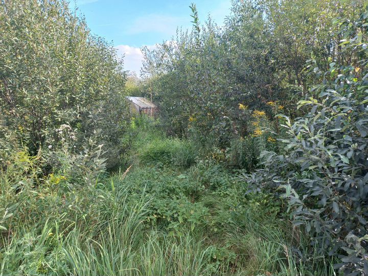 Участок 6 сот. (СНТ, ДНП)