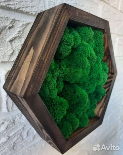 Полки со мхом/ декорация настенная