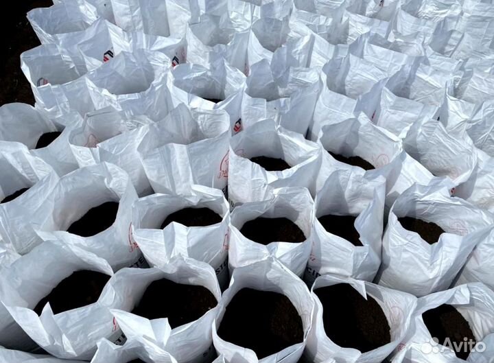 Навоз коровий и перегной в мешках