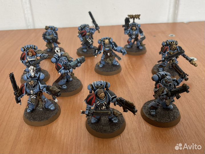 Warhammer 40.000 Grey Hunters-2