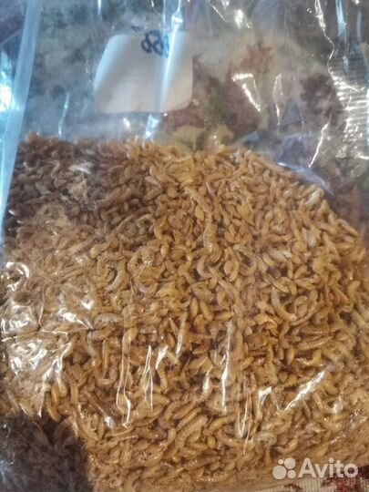 Корм для рыб