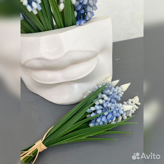 Мускари в кашпо губы