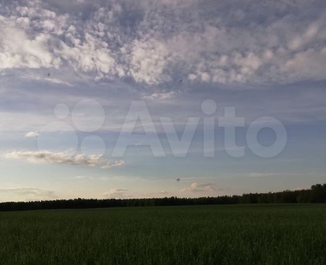 Участок 1,7 га (ИЖС)