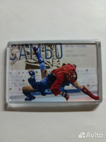 Акриловые магниты Самбо