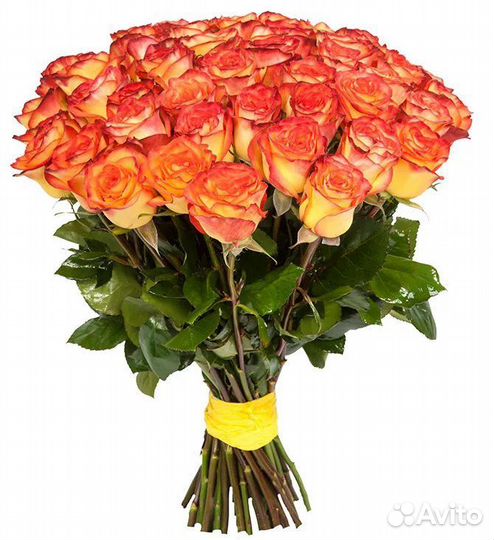 101 Роза, Букеты Цветы Розы 31 51 151 201 Доставка