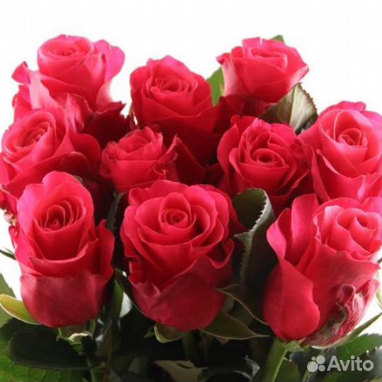 Букет из роз Pink Tacazzi Премиум 60 см