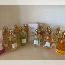 Guerlain, Narciso Rodriguez, Acqua di Parma