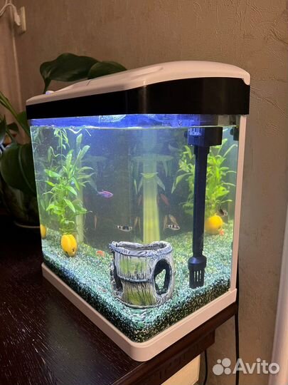 Аквариум