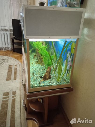 Аквариум
