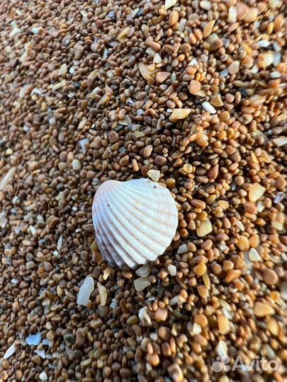 Грунт для аквариума оптом