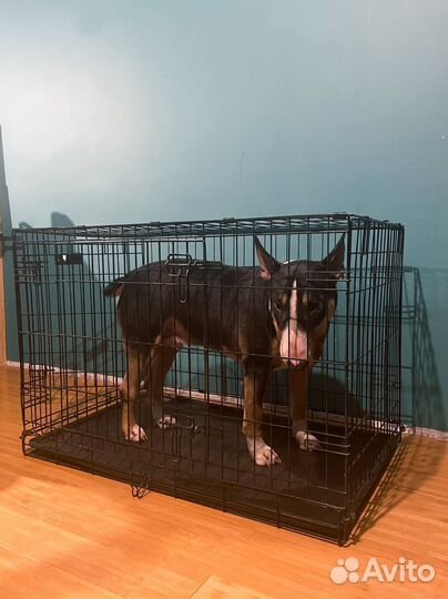 Клетка вольер Midwest iCrate, 91х58х64