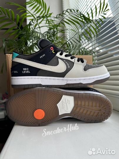 Nike sb dunk low camcorder