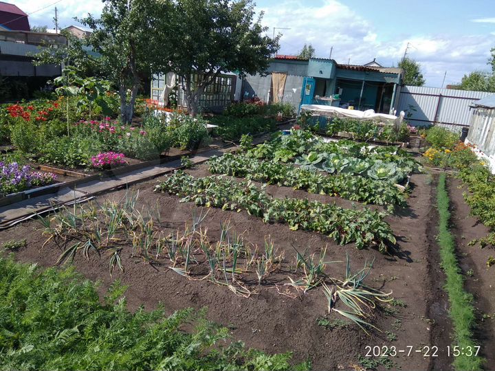 Участок 6 сот. (СНТ, ДНП)