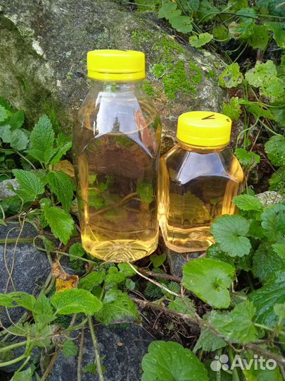 Духи женские и мужские 100 мл