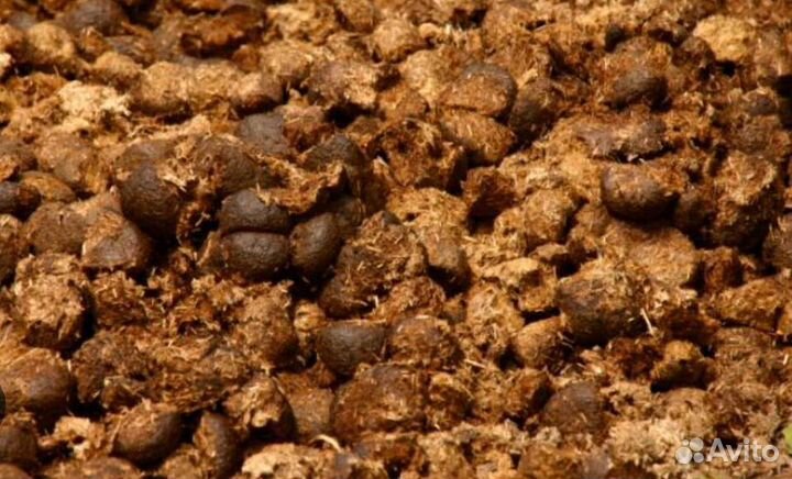 Навоз конский в мешках