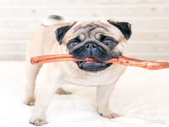 Бычий корень для собак. От производителя