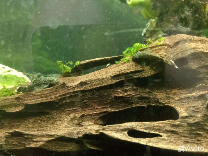 Украшение для аквариума