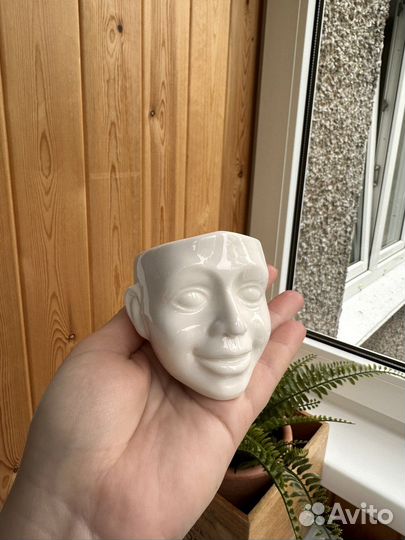 Кашпо для кактуса