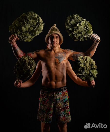 Банщик на выезд