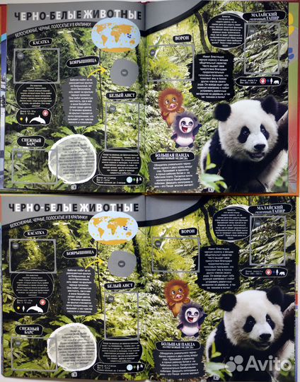 Альбом для коллекции Super Animals Panini