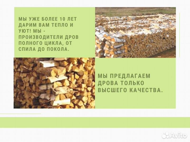 Дрова колотые березовые