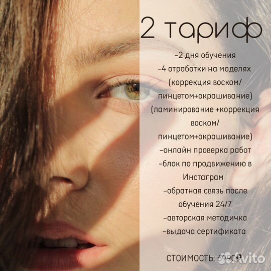 Обучение курс бровист