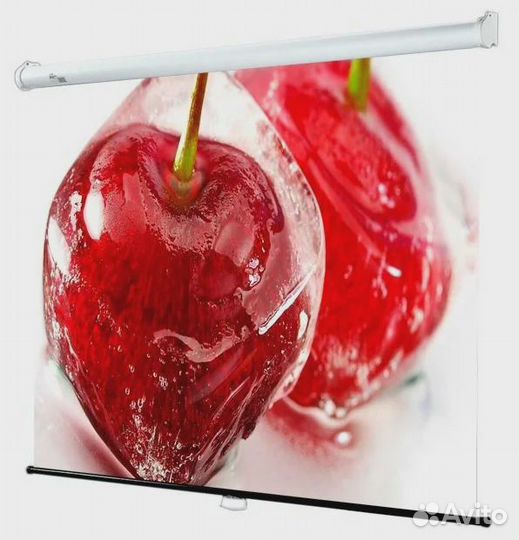 Экраны Draper Star 3x4 244/96”, Star 1:1 84/84”