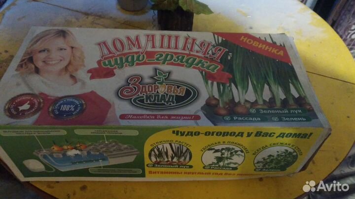Домашняя чудо грядка
