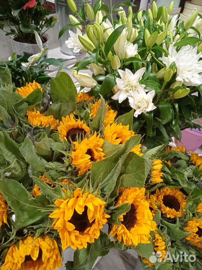 Букет Подсолнухи Цветы Гелиантус