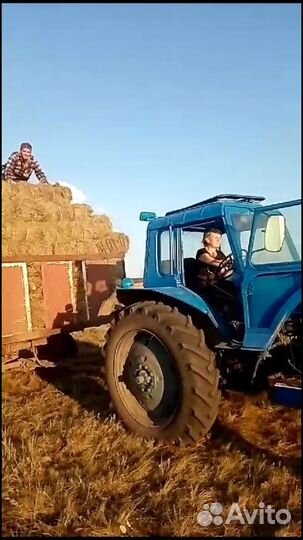 Сено в тюках