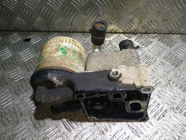 Радиатор маслянный (Теплообменник) форд Connect