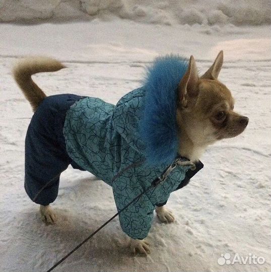 Комбинезон на мини-мальчика