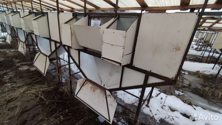 Квартиры для разведения кролика