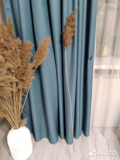 Сухоцветы, трава для декора