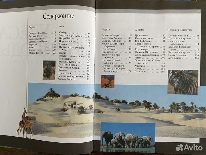 Энциклопедия для детей