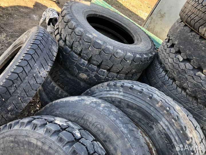 Продам колеса от газ 53