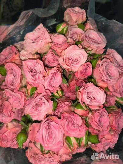 Кустовые розы