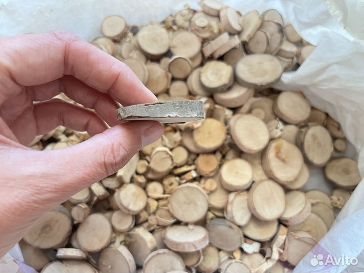 Спилы дерева для декора