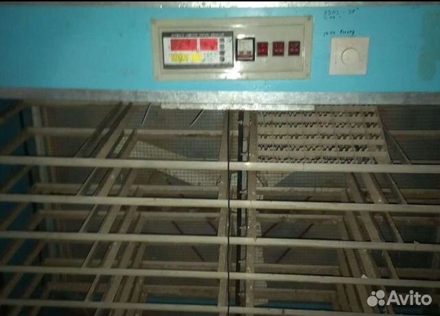 Инкубатор для яиц автоматический бу