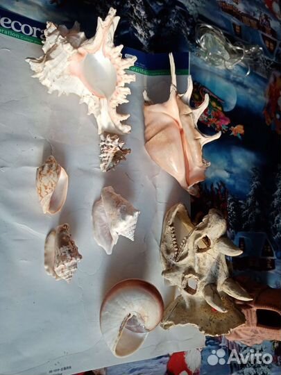 Декорации для аквариума