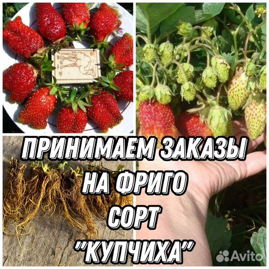 Клубника