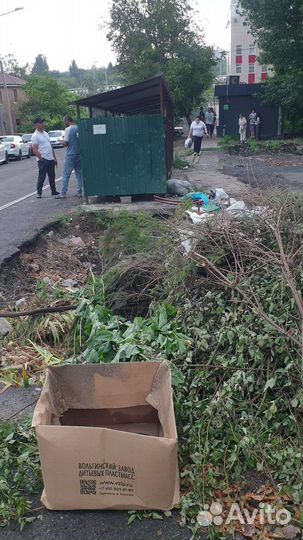 Маленькие котята с мусорки