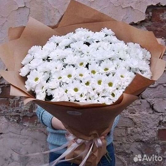 Хризантема