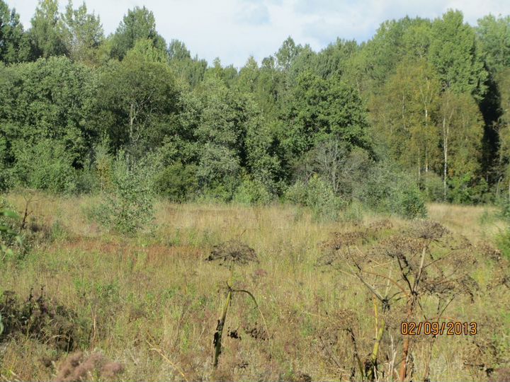 Участок 9 га (СНТ, ДНП)