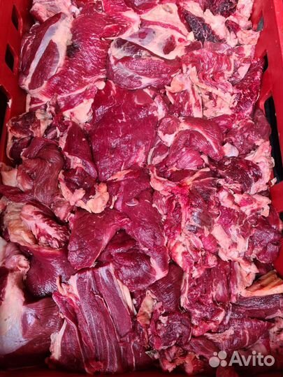 Мясо говядина котлетное