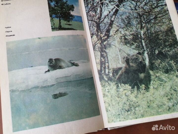 Байкал 1984 г