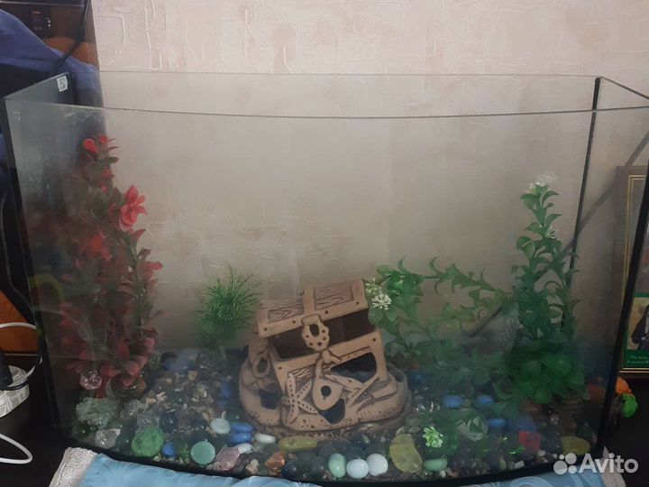 Аквариум