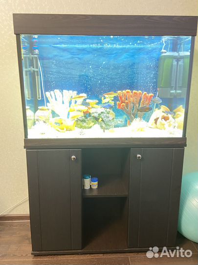 Аквариум с тумбой