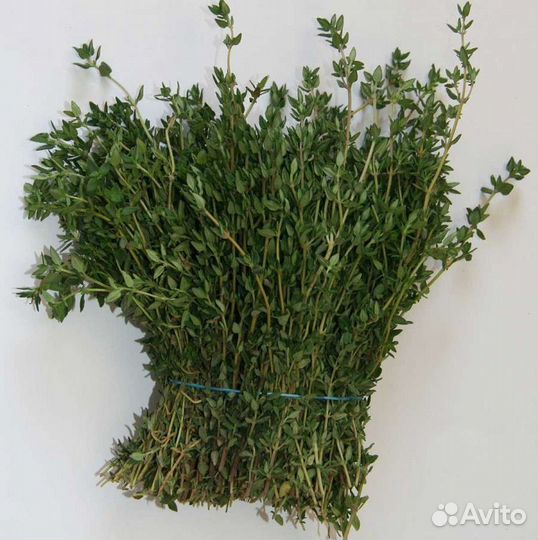 Зелень свежая